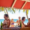 Saona Island Excursion from Punta Cana - Image 2