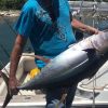 Puerto Plata: Deep Sea Fishing Tour - Image 3