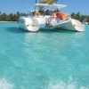 Punta Cana: Saona Island + Catamaran Party (Full Day) - Image 3