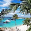 Saona Island Tour with Lunch from Santo Domingo - Image 3