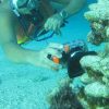 Punta Cana: Guided Power Dive Adventure - Image 3