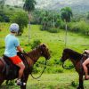 VIP DayPass | ATV's, Zip Lines, Horse Riding| Hotel & Cruise - Image 3