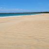 Los Haitises & Esmeralda Beach + Montana Redonda - Image 3