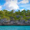 Punta Cana: Saona Islan Full Day With Catamaran and buffet - Image 4