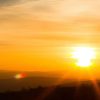 Punta Cana: Sunset Horseback Ride in Macao Beach and Forest - Image 3