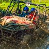 Punta Cana: Triple Jungle Adventure Park Tour with Tastings - Image 3