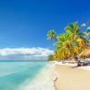 Dominican Republic: Saona Island Holiday - Image 9