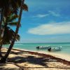 Punta Cana: Saona Island Day Trip - Image 3