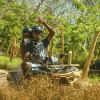 Punta Cana: ATV, Buggy & Horseback Tour with Pick-Up - Image 5