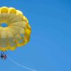 Punta Cana: Parasailing Trip Around the Coast of Bavaro - Image 3