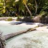 Saona Island Private: Speedboat Tour from Punta Cana - Image 2