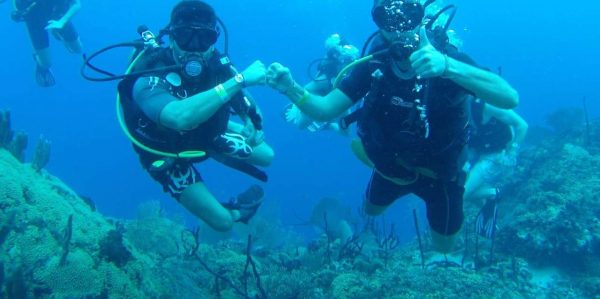 diving without a license catalina island from punta cana