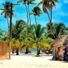 Bavaro: Saona Island VIP Speedboat Tour with Open Bar - Image 9