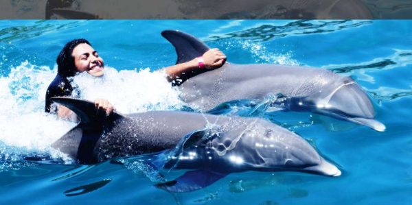 VIP Swim with Dolphins at Ocean World Puerto Plata