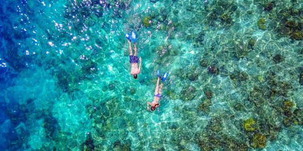 Bayahibe: Snorkeling Tour - Sea, Cotubanama park & Cenotes