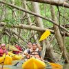 Boca Chica : Los Haitises Guided Hike and Kayaking - Image 16