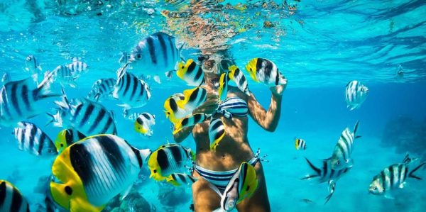 Catalina Island Full-Day Snorkeling + Lunch from Punta Cana