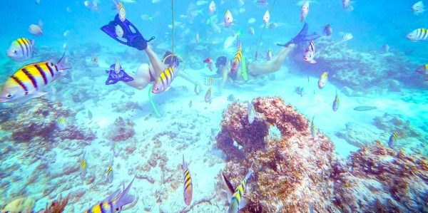 Punta Cana: Guided Power Dive Adventure