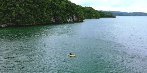 Samana: Private Los Haitises Expedition Caves & Mangroves