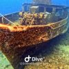 Bayahibe: Snorkeling Tour - Sea, Cotubanama park & Cenotes - Image 4