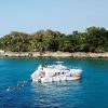 Sosua Sunset party boat And Snorkeling - Image 6