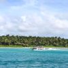 Saona Island Tour All Inclusive Speedboat and Catamaran - Image 4