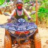 Punta Cana Buggy - Boggies Atv Excursions - Adventure buggies on the Playa☀️ - Image 4