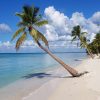 Punta Cana: Saona Island All-Inclusive Day Trip - Image 4