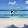 Saona Island Tour with Lunch from Santo Domingo - Image 4