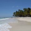 From La Romana: Saona Island for Carnival Cruises Passengers - Image 4