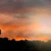 Punta Cana: Sunset Horseback Ride in Macao Beach and Forest - Image 4