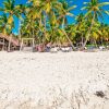 Punta Cana: Catamaran Boat to Saona Island with Buffet Lunch - Image 4