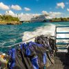 La Romana: Scuba Diving in Catalina Island - Image 4