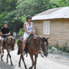 Puerto Plata Combo Experience: Zip-line + Horseback Riding - Image 6