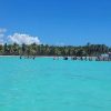 Isla Saona Day Trip From Santo Domingo with Lunch - Image 4