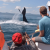 Samana: City Tour + Whale Watching + Cayo Levantado - Image 7