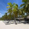 Saona Island Tour: Catamaran & Speedboat - All Inclusive - Image 4