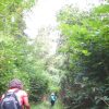 Damajagua: 27 Waterfalls Tour with Entrance Fee & Lunch - Image 4