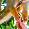 Punta Cana: Half-day tour Monkey Land Safari Tour - Image 4