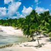 Saona Island Private: Speedboat Tour from Punta Cana - Image 3