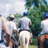 Dominican Culture Immersion: All Inclusive Day Trip - Image 3