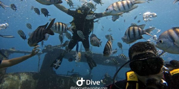 Bayahibe: Scuba Diving Initiation - Godive Bayahibe