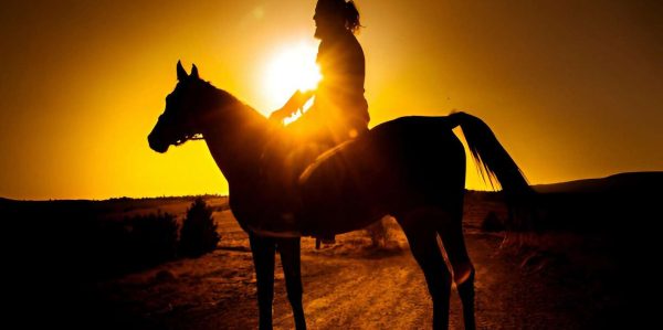 Punta Cana: Sunset Horseback Ride in Macao Beach and Forest