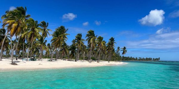 From La Romana: Saona Island for Costa Cruises Passengers