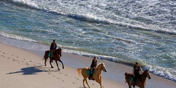 Puerto Plata: 2-Hour Horseback Ride on the Beach