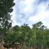 Cano Hondo Natural Pools & Los Haitises boat tour - Image 8