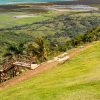 From Punta Cana: Los Haitises and Redonda Mountain Day Trip - Image 6