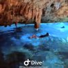 Bayahibe: Snorkeling Tour - Sea, Cotubanama park & Cenotes - Image 5