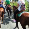 From Puerto Plata: Horseback ride along the mountain river - Image 5