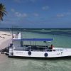 From Punta Cana: Small Group Catalina Island Snorkeling Tour - Image 5